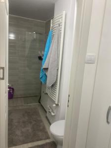 uma casa de banho com um WC e um chuveiro com uma toalha azul em Top House em Vaslui