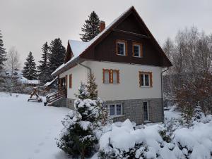 a house covered in snow with a christmas tree at Villa Lupus - apartament z prywatną sauną in Szklarska Poręba