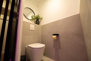 Baño pequeño con aseo y espejo en LV Suites Jaude, en Clermont-Ferrand