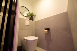 クレルモン・フェランにあるLV Suites Jaudeのトイレと鏡のある小さなバスルーム