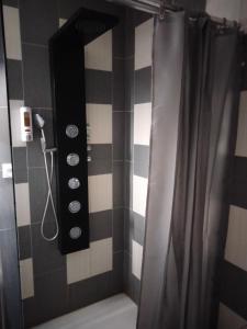 uma casa de banho com chuveiro e cortina de chuveiro em Le petit romain em Joué-lés-Tours