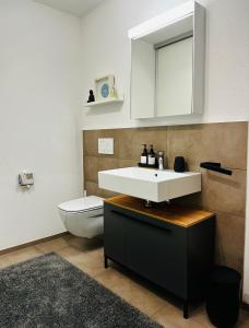 a bathroom with a white sink and a toilet at Studio Apartment am Bodensee - modern und stilvoll in Ermatingen