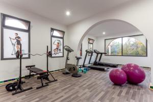 a gym with tread machines and exercise equipment in a room at leila farmhouse in Marrakech