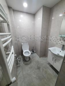 uma casa de banho com um WC e um lavatório em Marjanishvili16 53B em Tbilisi