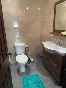 y baño con aseo y lavamanos. en Coy Apartments Kayseri #1, en Talas