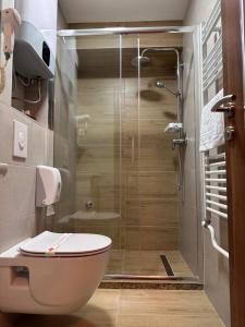 Koupelna v ubytování Pansion Zlatna Zita + 67 fotografií