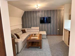 TV a/nebo společenská místnost v ubytování Pansion Zlatna Zita