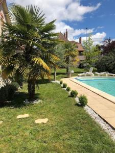 uma palmeira num quintal ao lado de uma piscina em Villa et visite du vignoble organisée avec Spa et Piscine em Nuits-Saint-Georges