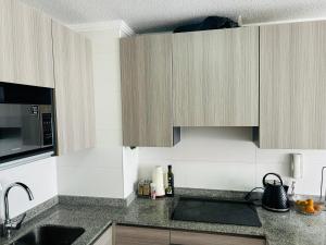 Kuchyň nebo kuchyňský kout v ubytování Departamento