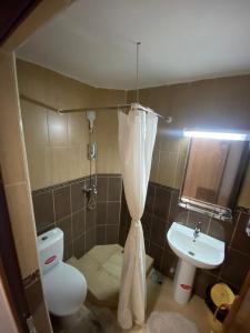 een badkamer met een toilet en een wastafel bij Paradiso Resort in Sarinasuf