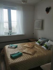een slaapkamer met een bed met 2 kussens erop bij Parkowy Apartment in Bydgoszcz