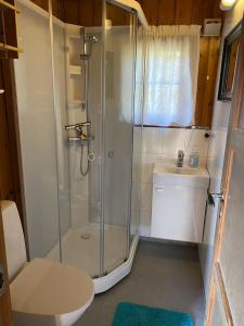 uma casa de banho com um chuveiro, um WC e um lavatório. em Rauland Hytteutleige em Rauland