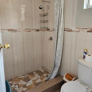 a bathroom with a shower with a toilet at Mukamba Holiday House in Livingstone