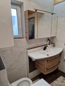 a bathroom with a sink and a toilet at FERIENHAUS A&C DELUXE AM SEE in Spielberg