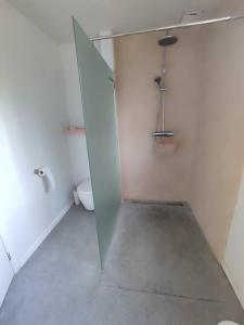 een badkamer met een toilet en een glazen douchecabine bij Huis Belijn in Lokeren