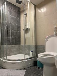 a bathroom with a shower and a toilet at Shard room in London