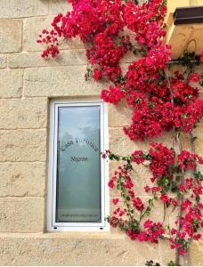 a picture of a window with red flowers on a wall at Casa Turistica Nigrán in Nigrán