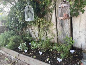 A garden outside Apartment in Swiss Chalet Träumli
