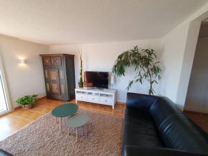 A television and/or entertainment centre at Apartment in Swiss Chalet Träumli