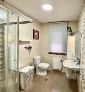 een badkamer met een toilet, een wastafel en een douche bij Casa Turistica Nigrán in Nigrán