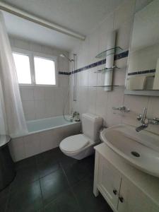 a white bathroom with a toilet and a sink at Apartment in Swiss Chalet Träumli in Meierskappel