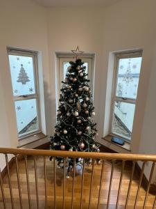 Un árbol de Navidad en una habitación con ventanas en Camden, London, Holloway Rooms 20 Busby Place, NW5 2SR, en Londres
