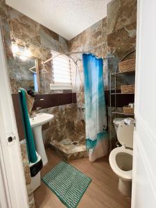 a bathroom with a shower and a toilet and a sink at Point Village in Negril