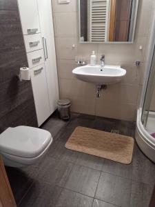a bathroom with a toilet and a sink at Apartman 151 U u Aparthotelu Vučko Jahorina - private host in Jahorina +16 photos