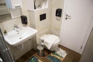 a small bathroom with a sink and a toilet at Apartman Tanja Jahorina in Jahorina +33 photos