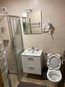La salle de bains est pourvue de toilettes, d'un lavabo et d'un miroir. dans l'établissement BELE STAZE 18 - BRZEĆE KOPAONIK, à Brzeće
