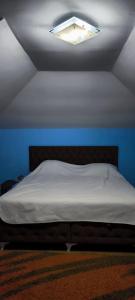 um quarto com uma cama com uma luz no tecto em Čaroban pogled em Srebrenik