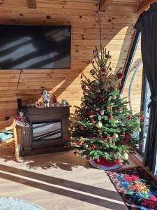 a christmas tree in a room with a tv at Casuta mea in Stulpicani