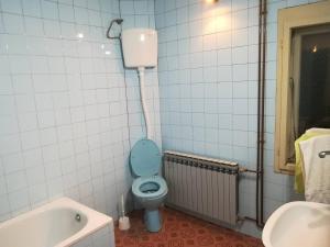 W łazience znajduje się niebieska toaleta i wanna. w obiekcie Rajski metoh w mieście Kosjeric