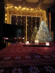 un árbol de Navidad frente a una ventana con luces en Maison au calme sur une propriété de 40 hectares en Bassillac