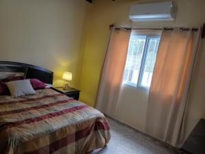 - une chambre avec un lit et une fenêtre dans l'établissement Hermosa casa de Huéspedes, à Tegucigalpa