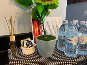 una planta en un jarrón sobre una mesa con botellas de agua en Del Cielo Serviced Apartments, en Entebbe