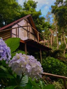 a tree house with purple flowers in front of it at chalé Platanus in Campos do Jordão