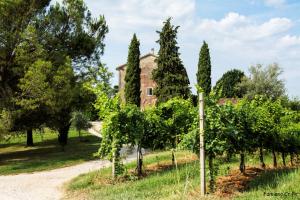 ein altes Haus mit Bäumen und einem Feldweg in der Unterkunft Agriturismo Le Spezie in Conegliano