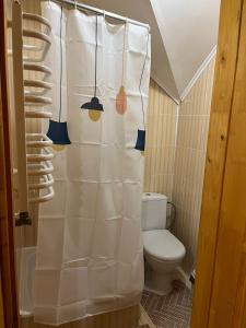 een badkamer met een toilet en een wit douchegordijn bij Nice Weekend in Jaremtsje