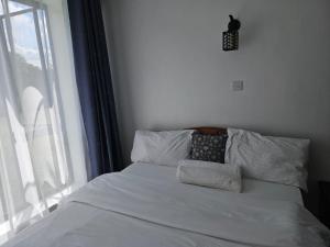 ein Bett mit Kissen darauf in einem Zimmer mit Fenster in der Unterkunft Waridi house in Ongata Rongai 