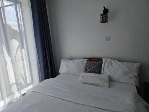 a bed with pillows on it in a room with a window at Waridi house in Ongata Rongai 