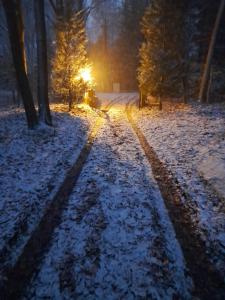 una carretera cubierta de nieve con el sol en el fondo en Kokoon in 't groen, en Lovaina