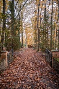 un camino cubierto de hojas con una valla y árboles en Kokoon in 't groen, en Lovaina