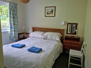 a bedroom with a bed with two blue pillows on it at Coldstream Cottage in Dale