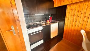uma pequena cozinha com um fogão e um lavatório em BeauLieu - free parking em Veysonnaz