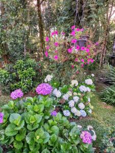 Recanto dos Jasmins Gramado外面的花园