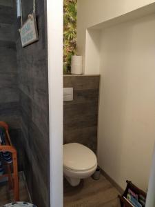 a bathroom with a toilet with a wooden wall at Rosemary Cottage in Sergines