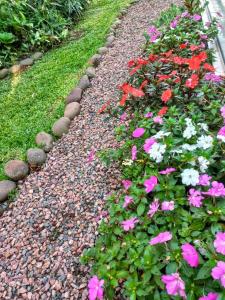 a garden with pink and white flowers on a path at Recanto dos Jasmins Gramado in Gramado
