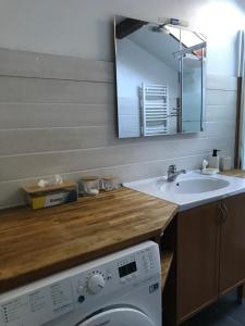 La salle de bains est pourvue d'un lavabo et d'un lave-linge. dans l'établissement Appartement dans maison, à Brié-et-Angonnes