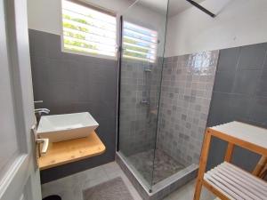 W łazience znajduje się prysznic z umywalką i przeszkloną kabiną prysznicową. w obiekcie Bas de Villa Dumont T3 avec jacuzzi w mieście Le Gosier